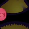 GSK, Paxil animation screen shot