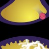 GSK, Paxil animation screen shot